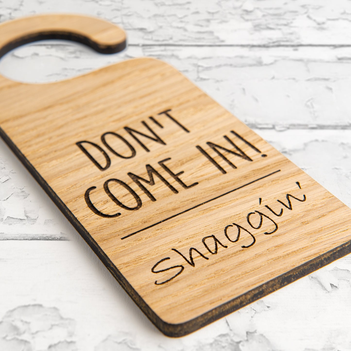 Rude Funny Valentines Day Gift - Wooden Bedroom Door Hangers - Silly Gift Idea